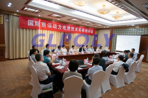 国际前沿动力电池闭门技术专家研讨会在市科委组织下在京召开