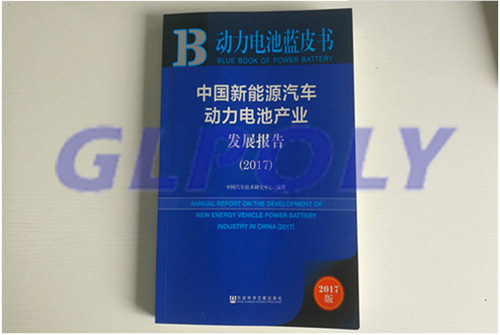 把脉动力电池产业发展 《动力电池蓝皮书》(2018版)在京正式发布